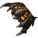 morphs into a Brood lord (Corruptor)